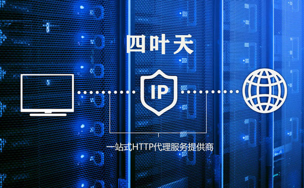 【桓台代理IP】高质量IP代理的最重要因素?